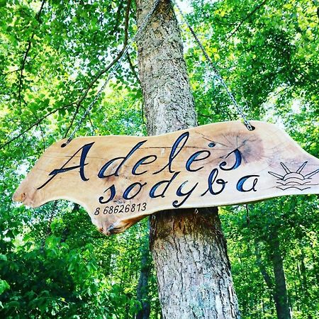 Adeles Sodyba Sturmai Exterior foto