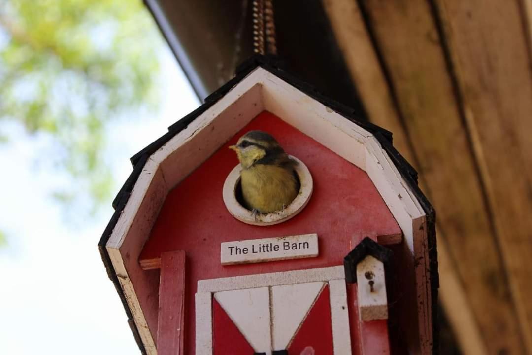 Adeles Sodyba Sturmai Exterior foto