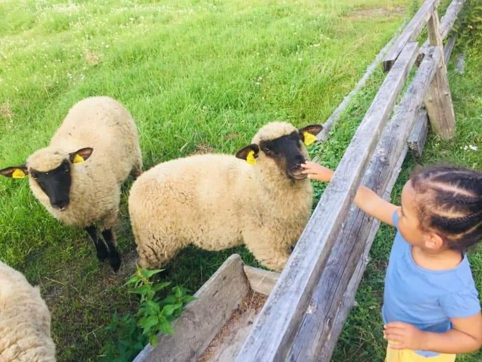 Adeles Sodyba Sturmai Exterior foto